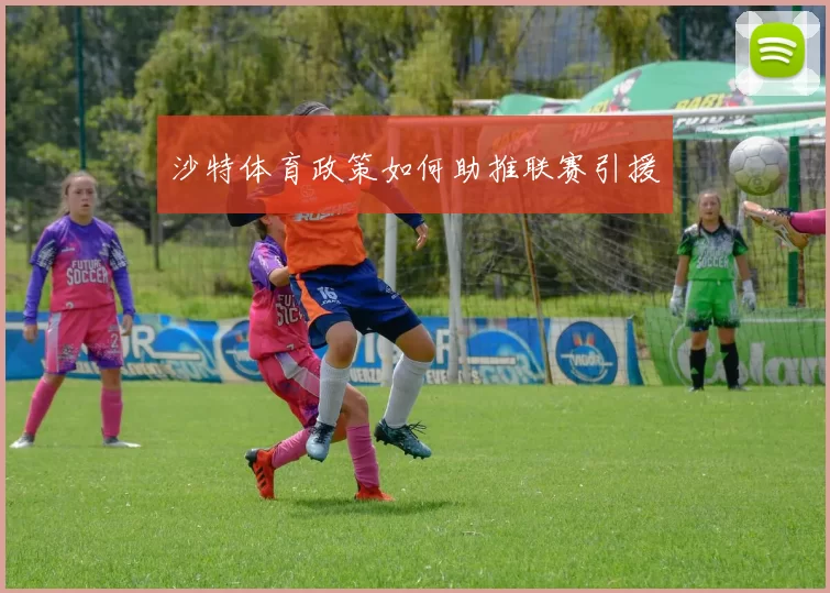 沙特体育政策如何助推联赛引援