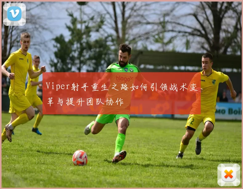 Viper射手重生之路如何引领战术变革与提升团队协作