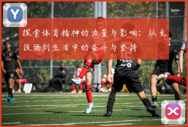 探索体育精神的力量与影响：从竞技场到生活中的奋斗与坚持
