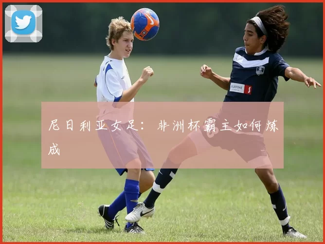尼日利亚女足：非洲杯霸主如何炼成