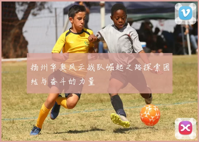 扬州华奥风云战队崛起之路探索团结与奋斗的力量