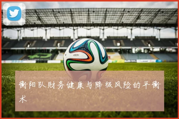 衡阳队财务健康与降级风险的平衡术